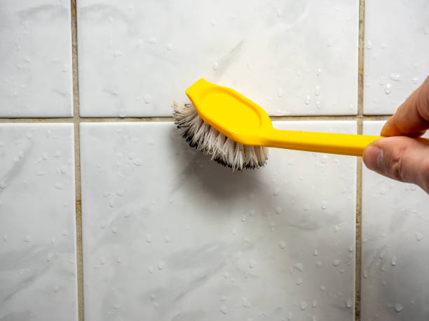 Best Local Mold Removal Service  in Hamilton City, CA
