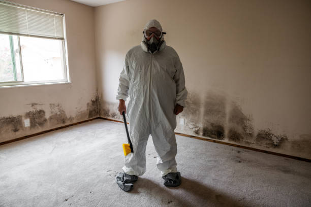 Best Residential Mold Removal  in Hamilton City, CA
